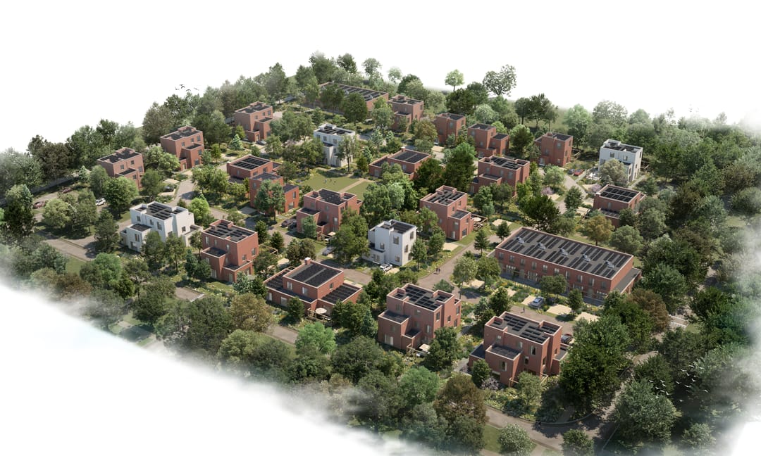 Foto 2 van Zomereik 6