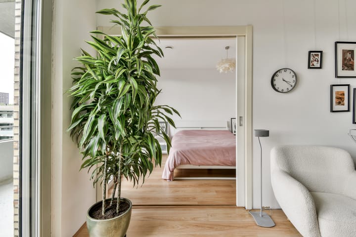 Foto 11 van Wijnand Nuijenstraat 57