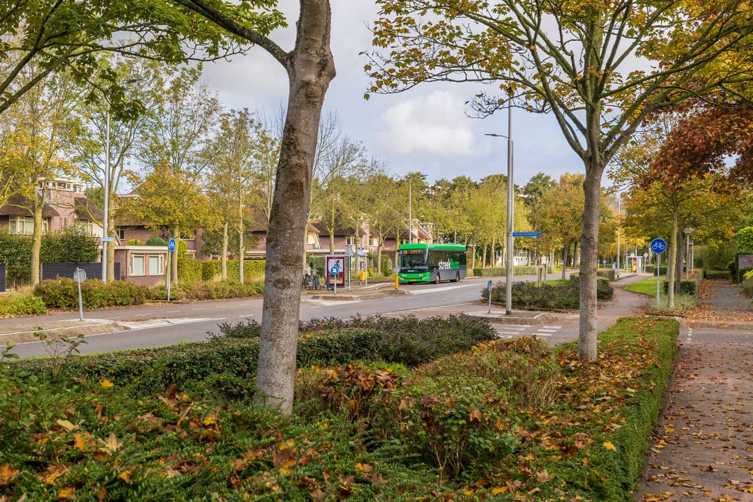 Foto 71 van Henriette Roland Holstlaan 11