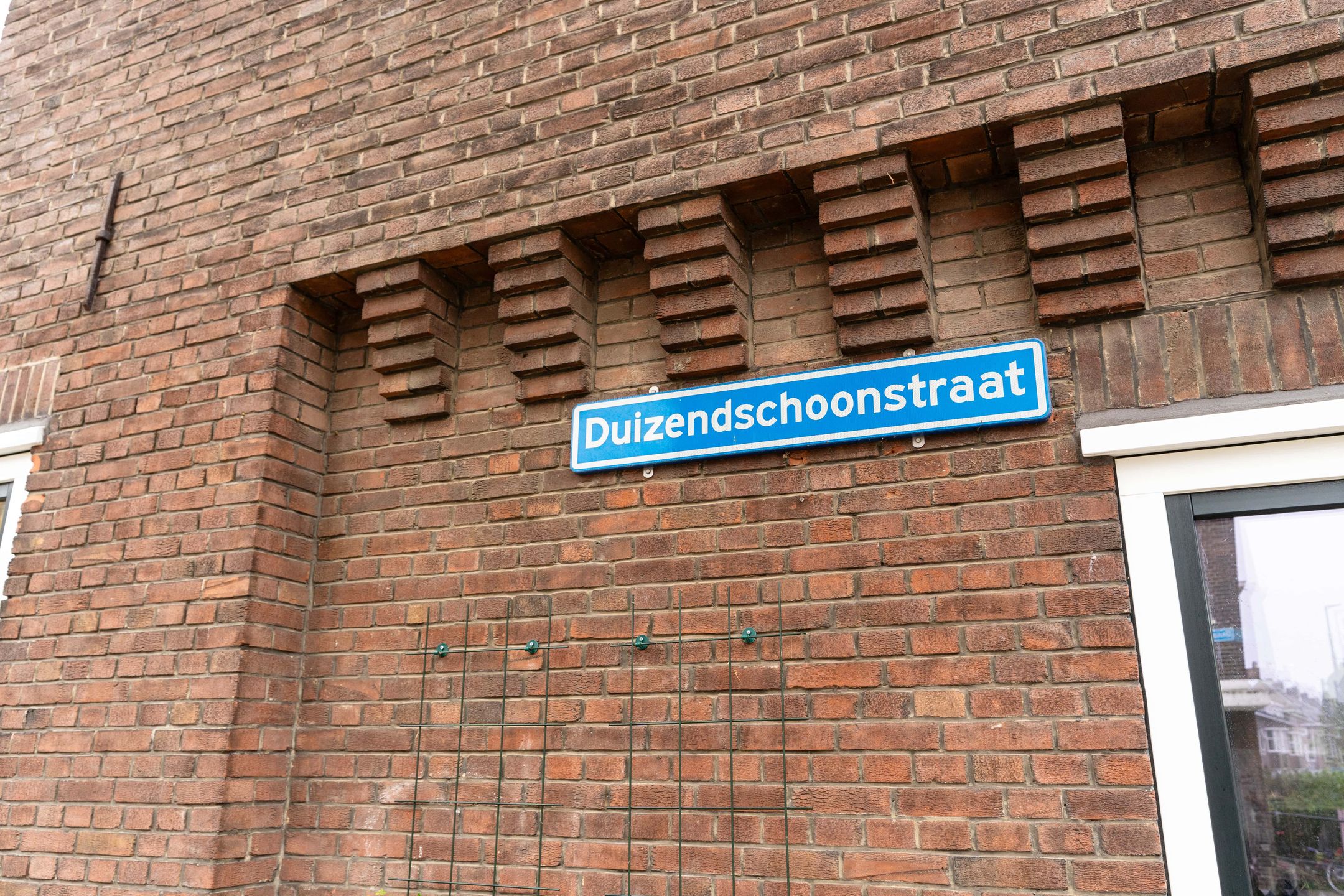 Foto 6 van Duizendschoonstraat 3