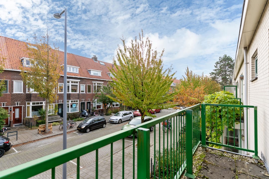 Foto 23 van Duizendschoonstraat 3