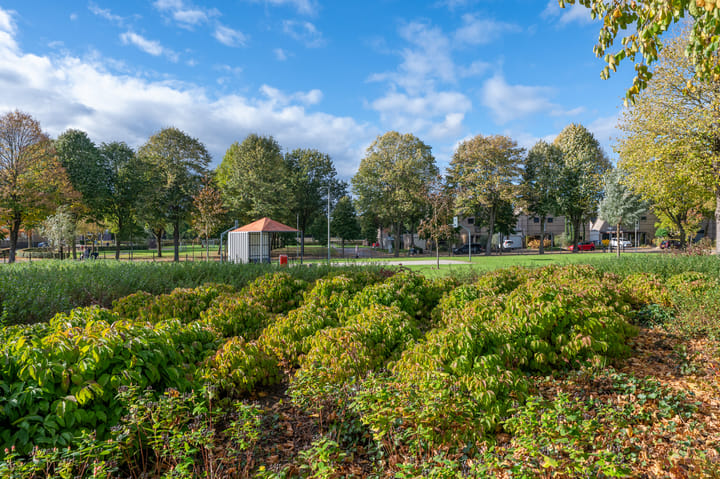 Foto 12 van Jos Cuypersstraat 22