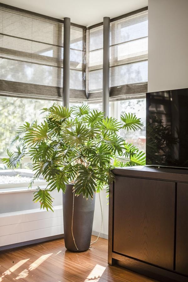 Foto 7 van Ringvaartweg 148