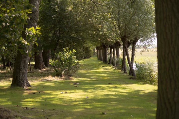 Foto 53 van Rijnsburgerweg 5