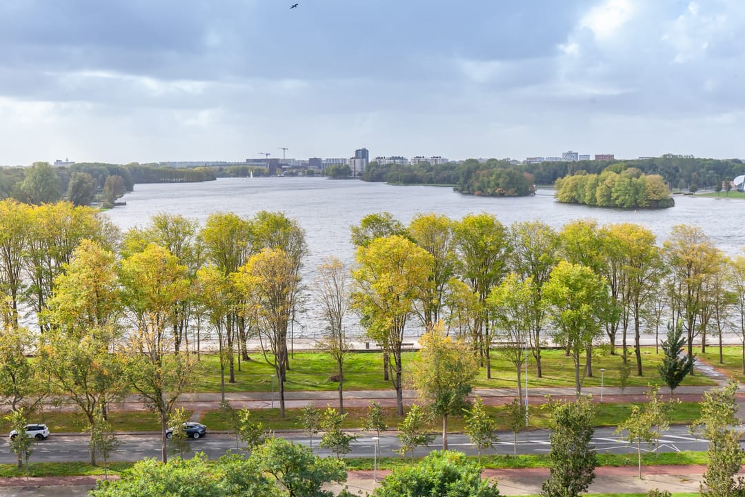 Foto 11 van Burgemeester Hogguerstraat 261