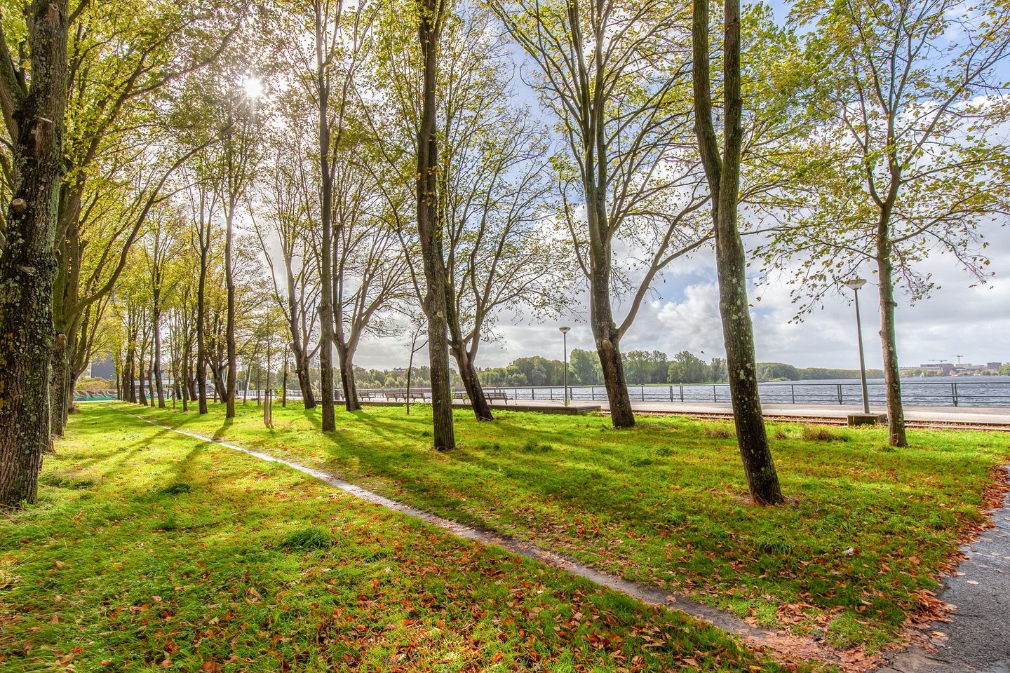 Foto 44 van Burgemeester Hogguerstraat 261