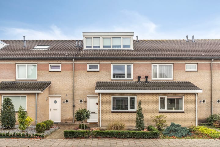 Foto 1 van Lariks 37