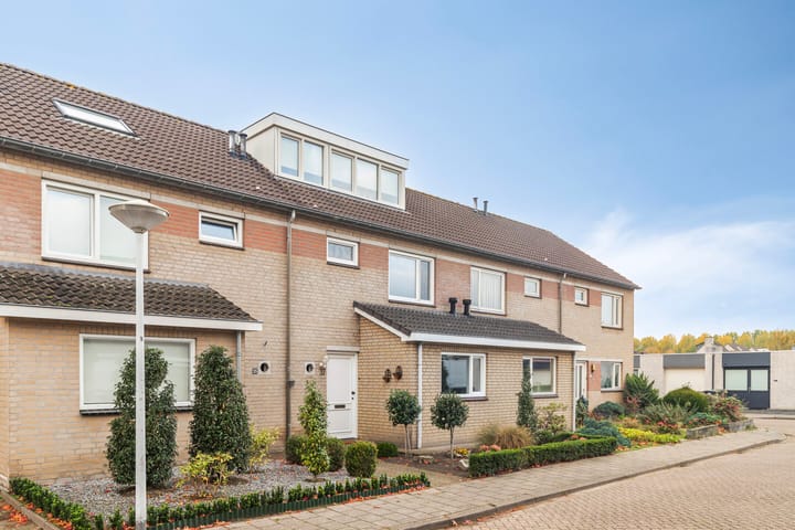 Foto 2 van Lariks 37