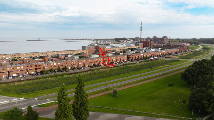 Foto 5 van Vliegent Hert 140