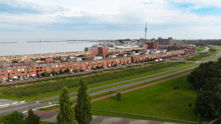 Foto 2 van Vliegent Hert 140