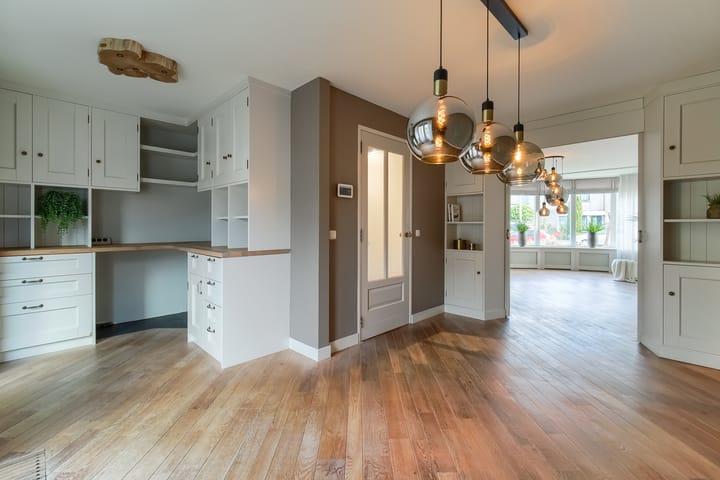 Photo 3 of Lijster 42