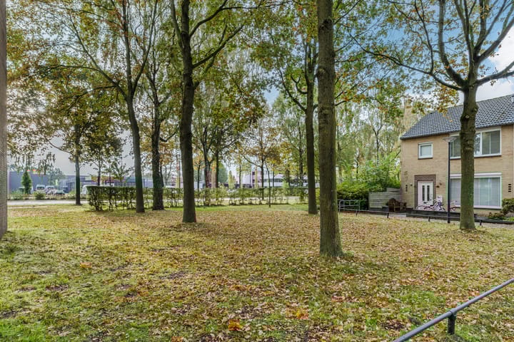 Foto 6 van Ranonkelstraat 59