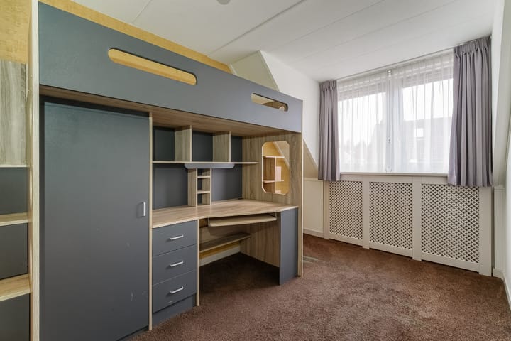 Photo 36 of Lijster 42