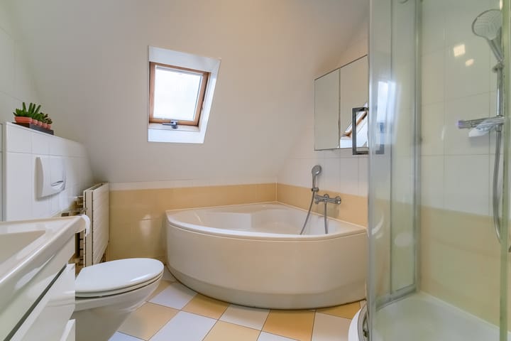 Photo 38 of Lijster 42