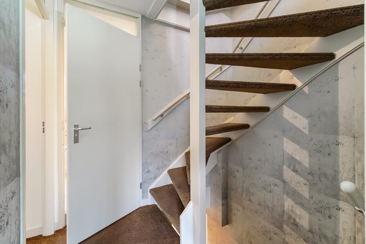 Photo 41 of Lijster 42