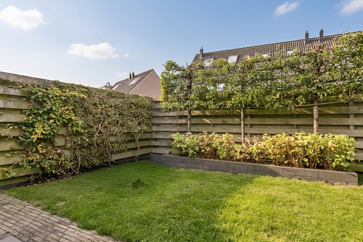 Photo 49 of Lijster 42