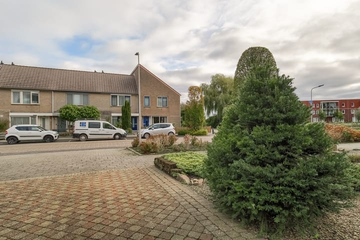 Photo 52 of Lijster 42