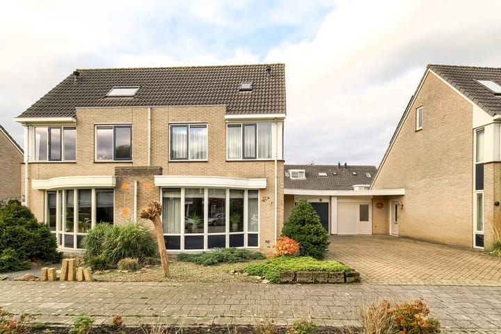 Photo 55 of Lijster 42