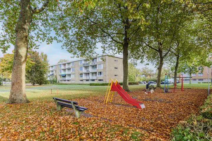 Foto 43 van Ranonkelstraat 59