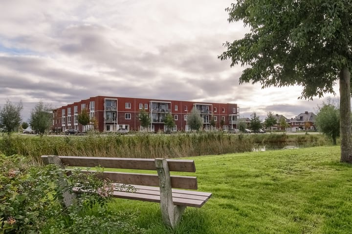 Photo 57 of Lijster 42