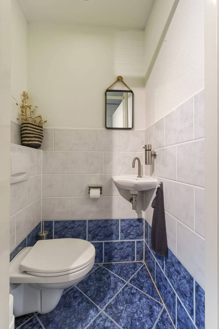 Photo 28 of Lijster 42