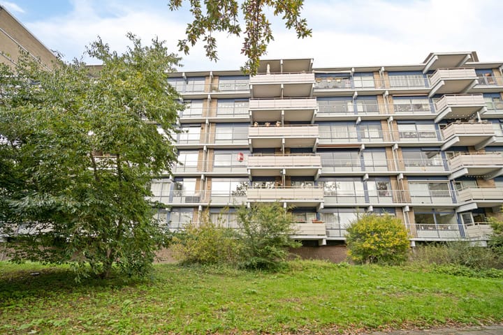 Photo 1 of Kadoelerbos 37