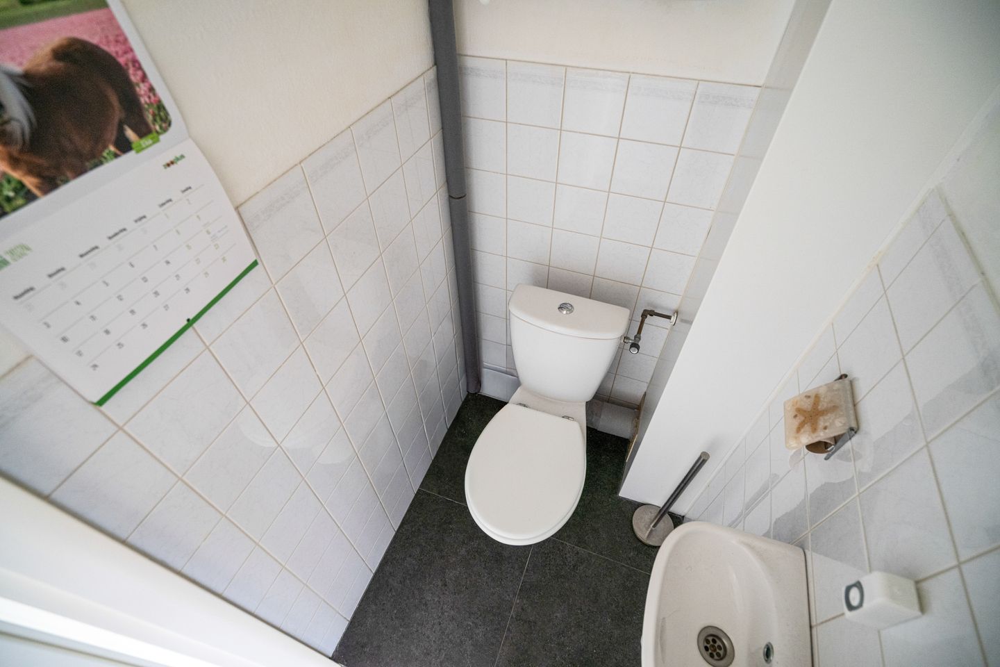 Foto 20 van Kadoelerbos 37