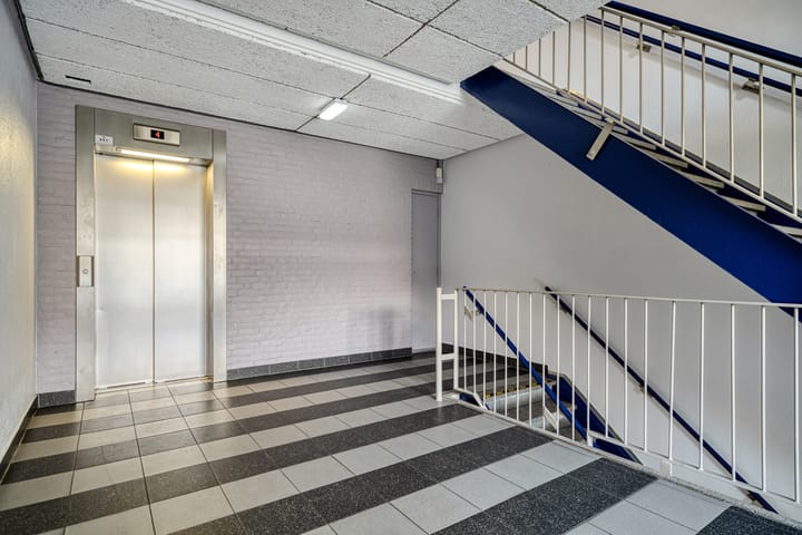 Photo 37 of Kadoelerbos 37