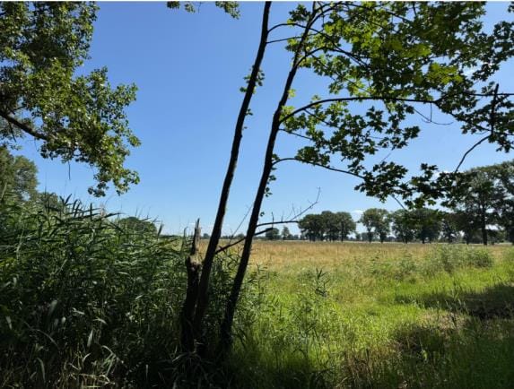 Bekijk foto 2 van Gastelseweg