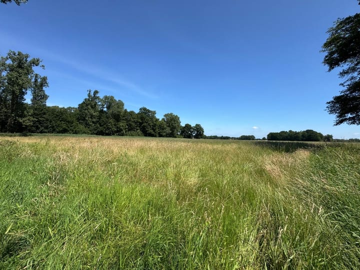 Gastelseweg, Budel