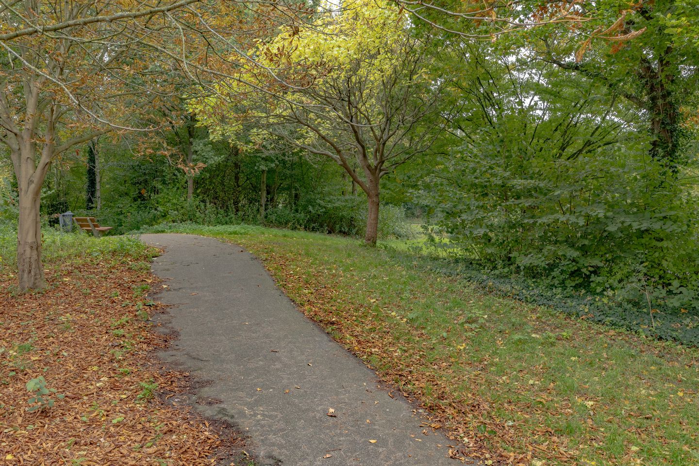 Foto 40 van van Vredenburchweg 509