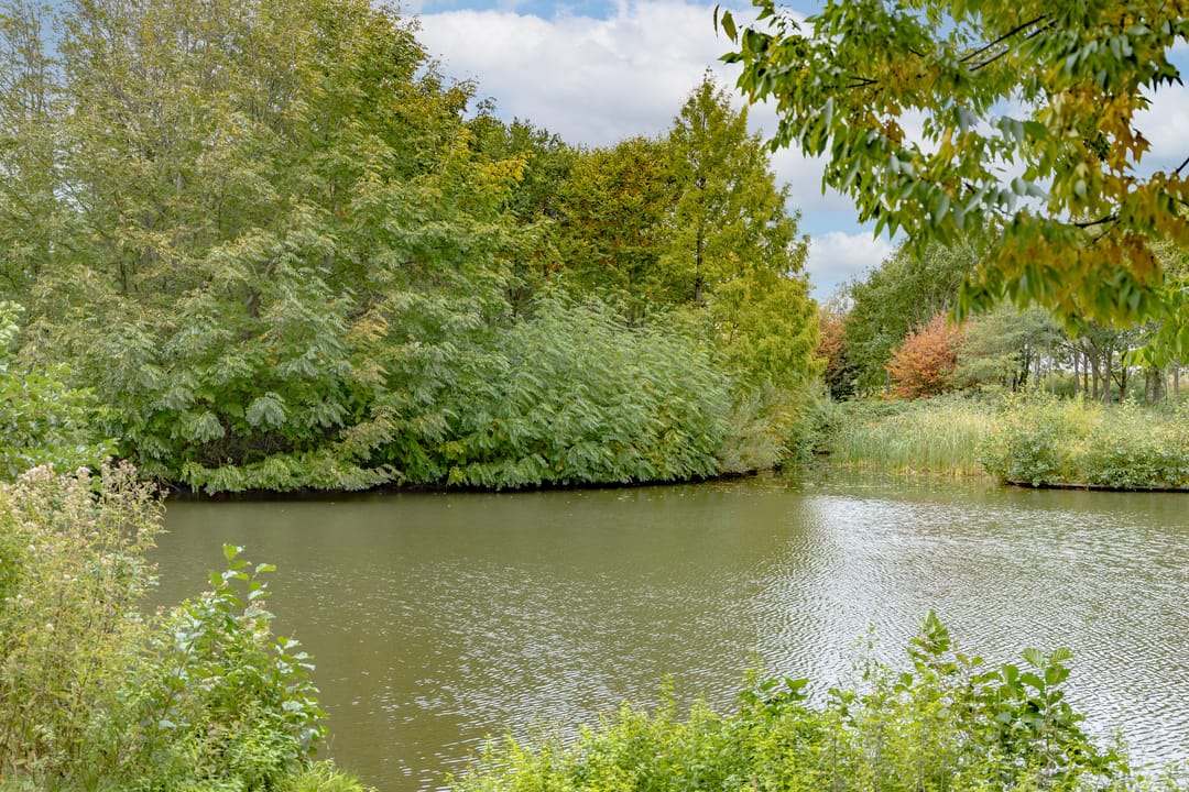 Foto 41 van van Vredenburchweg 509