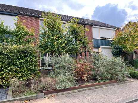 undefined main image