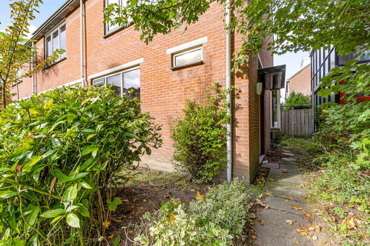 Foto 2 van Pyreneeën 54