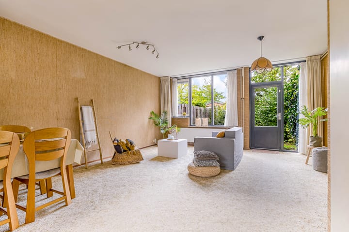 Foto 9 van Pyreneeën 54