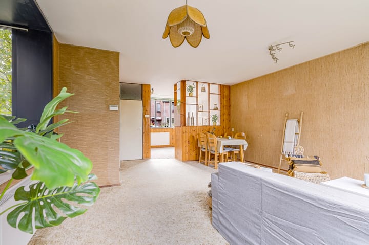 Foto 12 van Pyreneeën 54