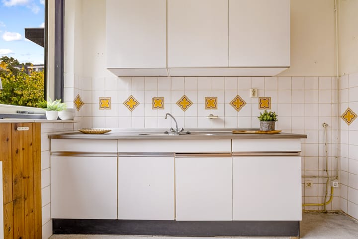 Foto 20 van Pyreneeën 54