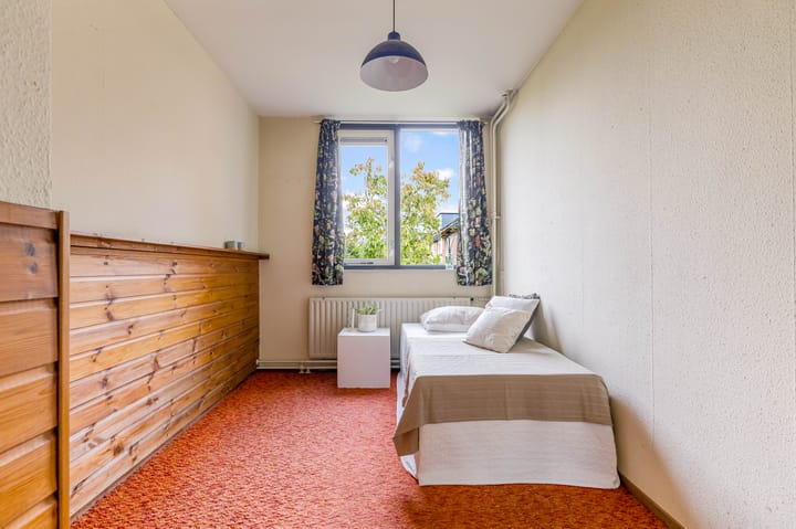 Foto 26 van Pyreneeën 54