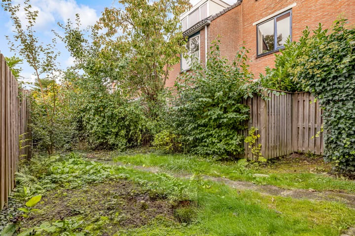 Foto 36 van Pyreneeën 54