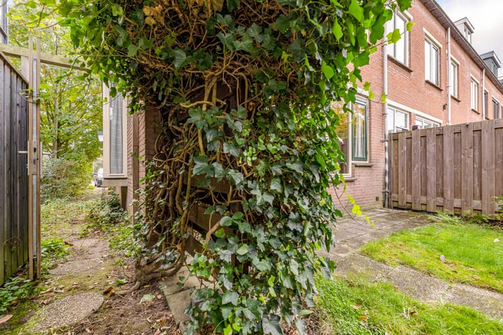 Foto 38 van Pyreneeën 54