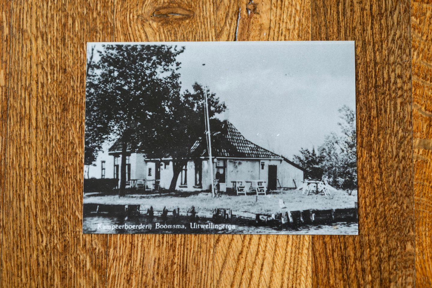 Photo 55 of Lytse Súdein 57