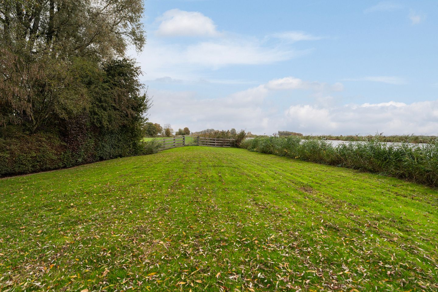 Photo 74 of Lytse Súdein 57