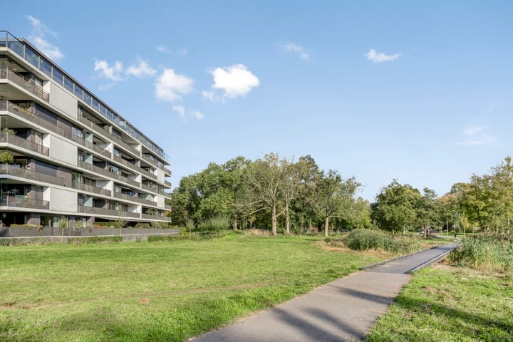 Photo 5 of Alberdingk Thijmlaan 56