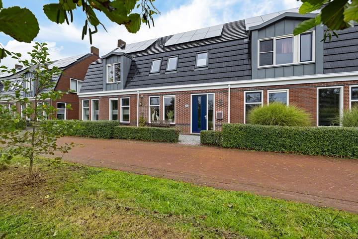 Foto 8 van Lolkjeslân 4