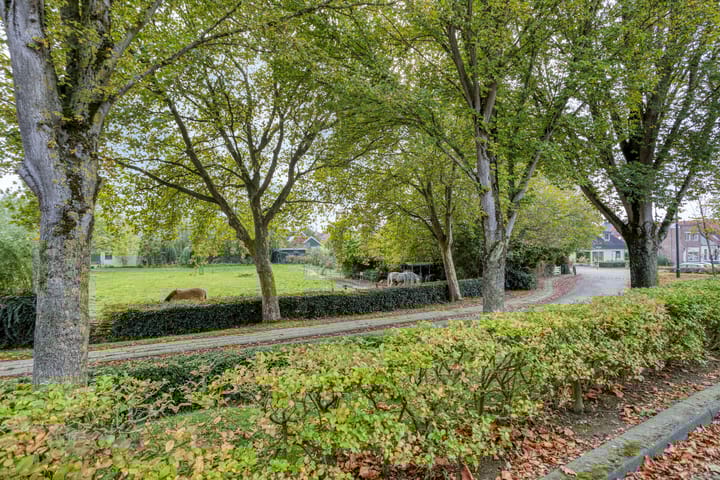 Photo 35 of Dorpsdijk 34