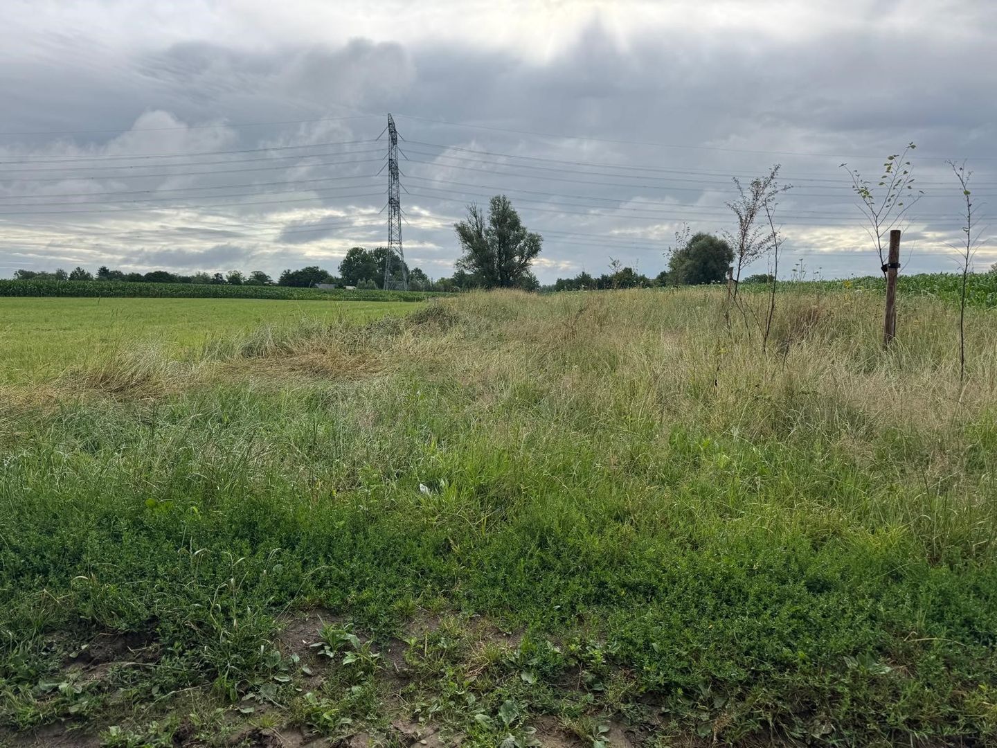 Bekijk foto 2 van Soeterbeekseweg
