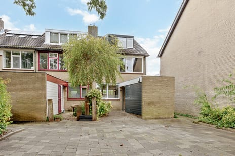 undefined main image