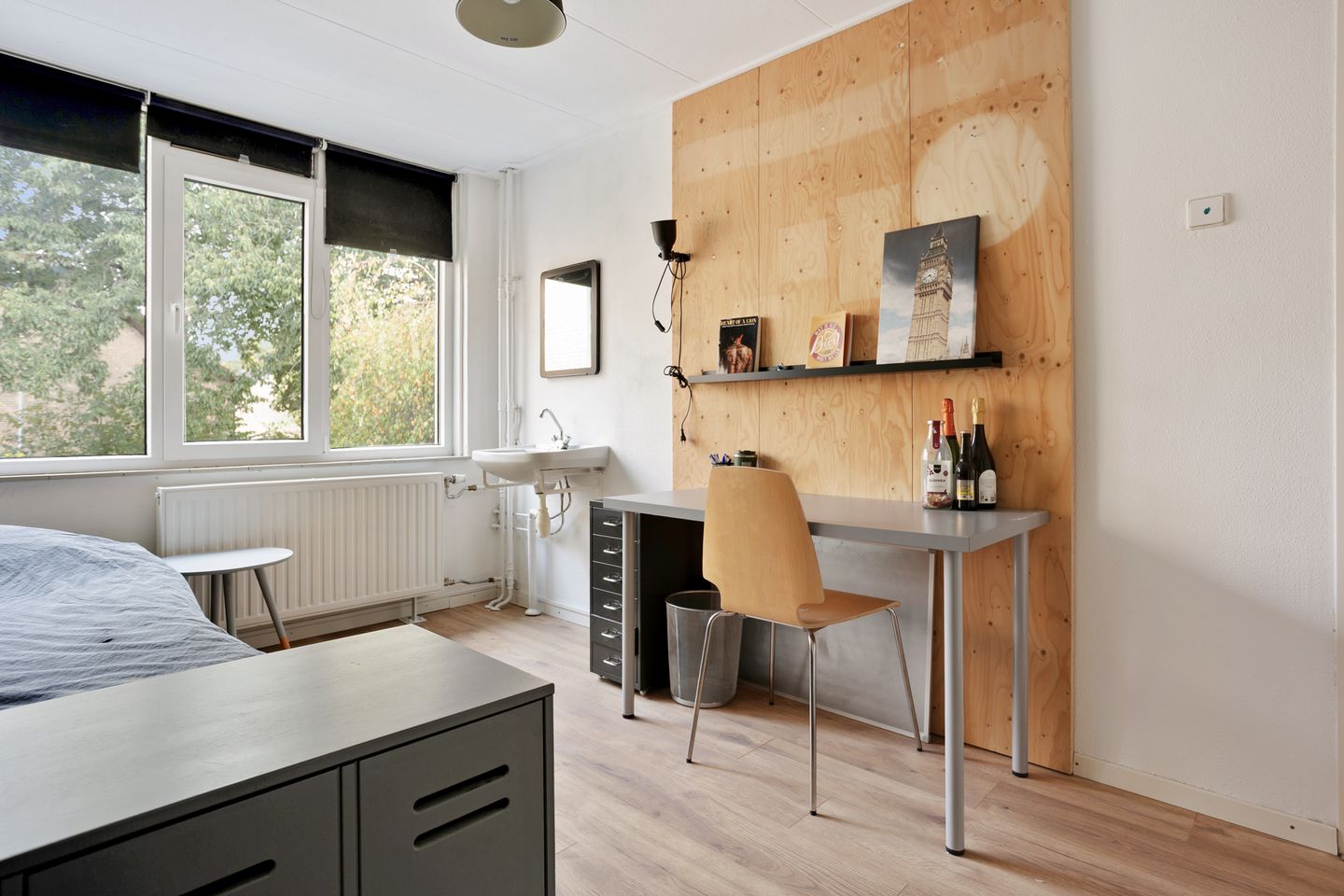 Foto 20 van Jan den Haenplantsoen 4