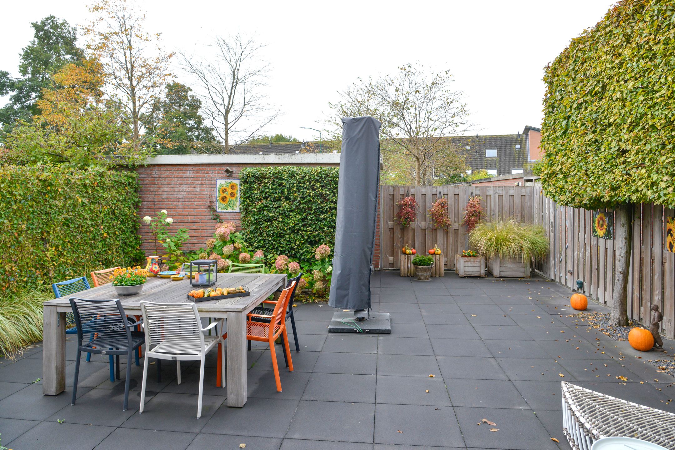 Foto 21 van Ruwbeemd 11