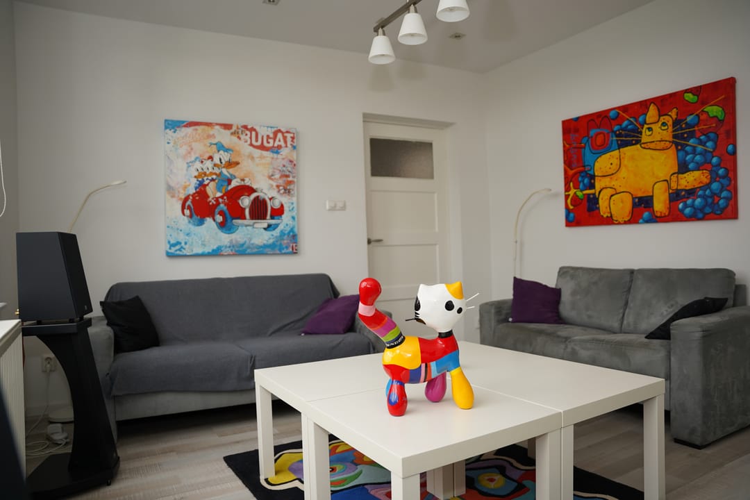 Foto 7 van Provincialeweg 56